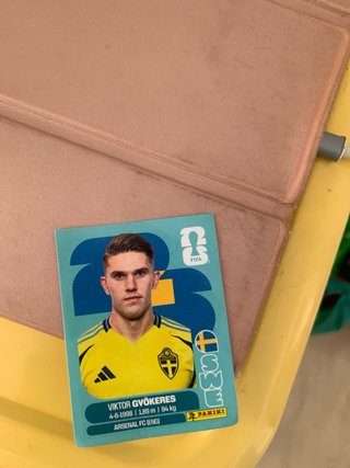 Cromo Mohamed Salah Panini FIFA