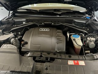 Audi Q5 2009