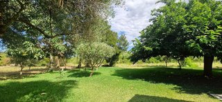Casa rural en alquiler en Manacor Centro en Manacor