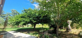 Casa rural en alquiler en Manacor Centro en Manacor