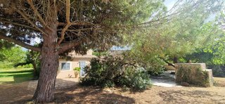 Casa rural en alquiler en Manacor Centro en Manacor