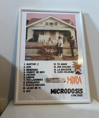 Cuadro Álbum Microdosis Mora