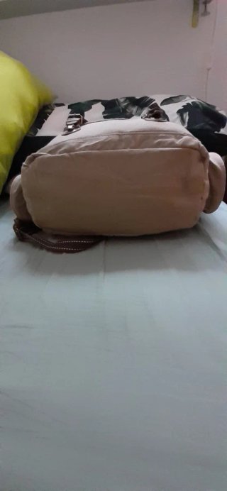 Mochila Royal Canin Beige