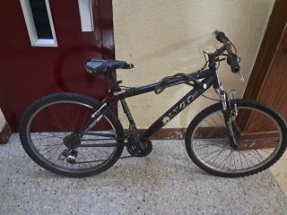 Bicicleta de montaña