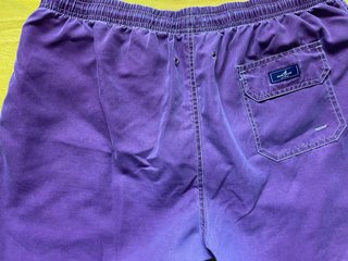 Blue Coast Bañador Morado.