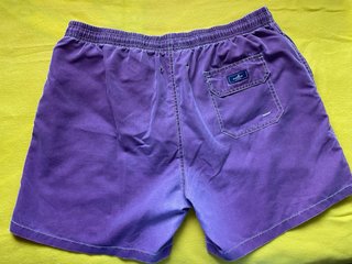 Blue Coast Bañador Morado.