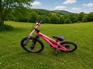 Bicicleta Monty 20 Niña