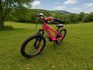 Bicicleta Monty 20 Niña