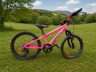 Bicicleta Monty 20 Niña