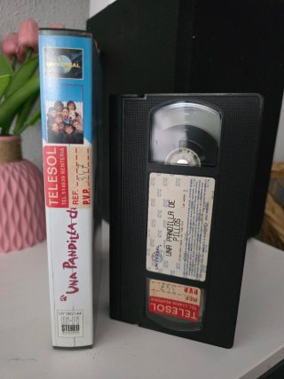VHS Una Pandilla de Pillos Caja Grande