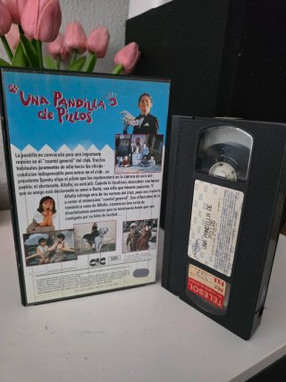 VHS Una Pandilla de Pillos Caja Grande