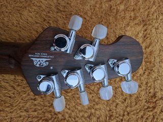 Ernie Ball Music Man St. Vincent HHH USA