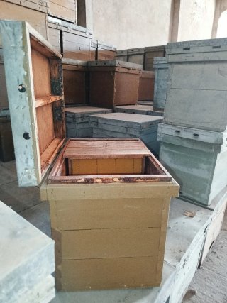 Cajas de Colmenas Layens