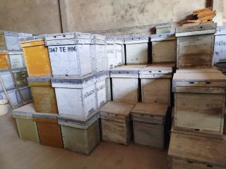 Cajas de Colmenas Layens