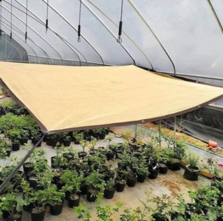 2 tende beige da 3x2 per esterni