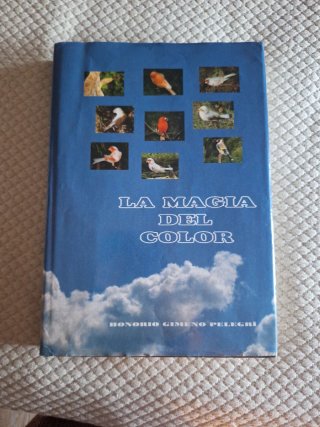 Libro
