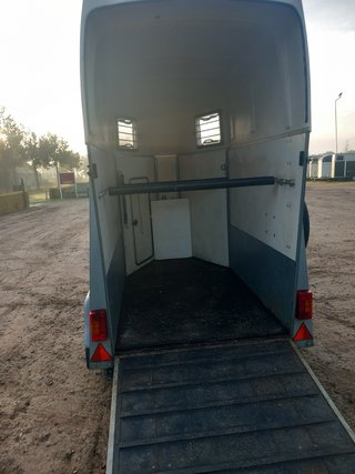 Remolque caballos Brenderup 1,5 caballo
