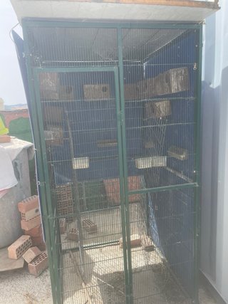 Voladera grande para pájaros