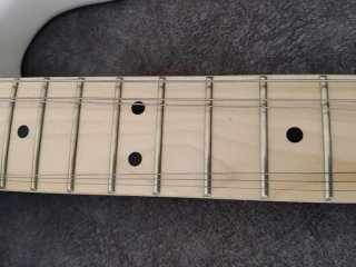 Guitarra Eléctrica Blanca Humbucker