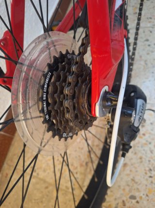 Bicicleta Orbea Ruedas 24 Infantil