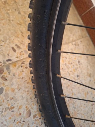 Bicicleta Orbea Ruedas 24 Infantil