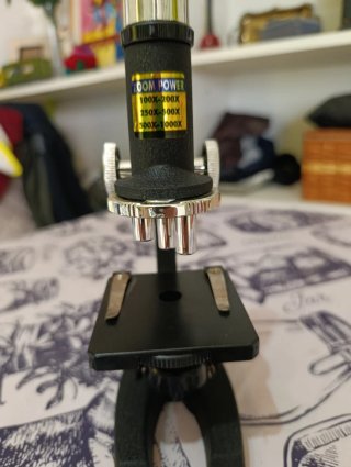 Microscopio educativo