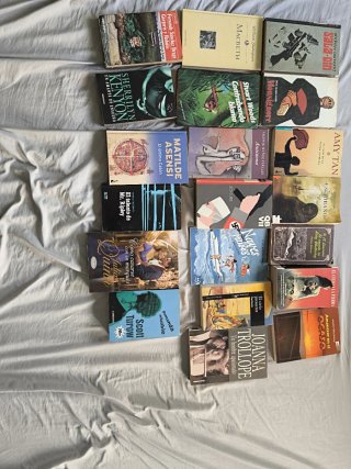 Lote 20 Libros Variados