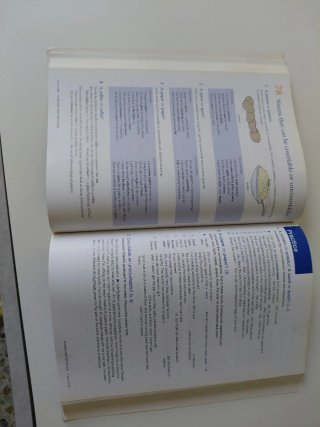 Oxford Practice Grammar: Intermediate With Gram...