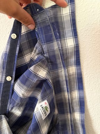 Camisa Lacoste Cuadros Azul y Blanco