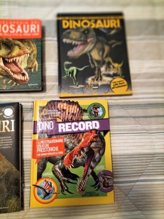 6 libri dinosauri da collezione
