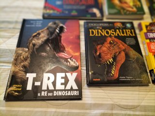 6 libri dinosauri da collezione