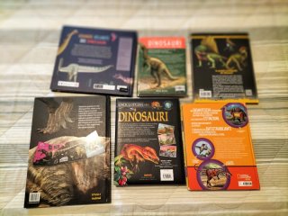 6 libri dinosauri da collezione