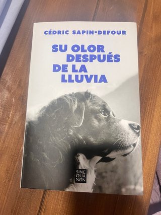 De cómo un rey perdió Francia