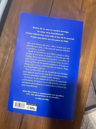 De cómo un rey perdió Francia