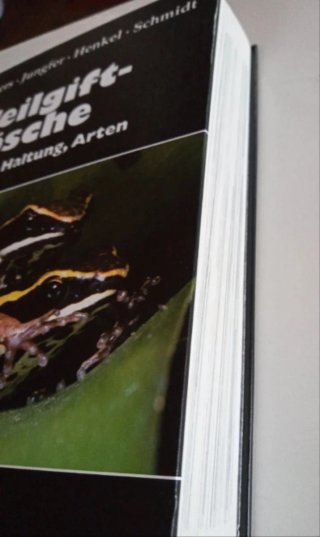 Pfeilgiftfrösche Biologie, Haltung, Arten.