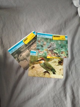 Colección Fichas El Reino Animal completa y caja