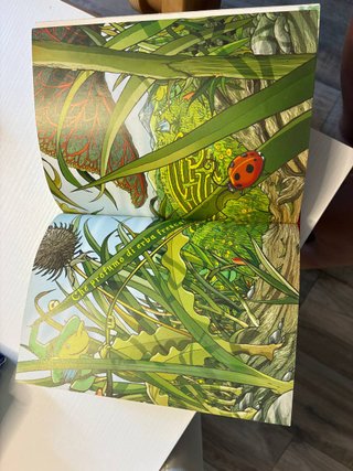 Viaggio nel Regno della Fantasia -Geronimo Stilton