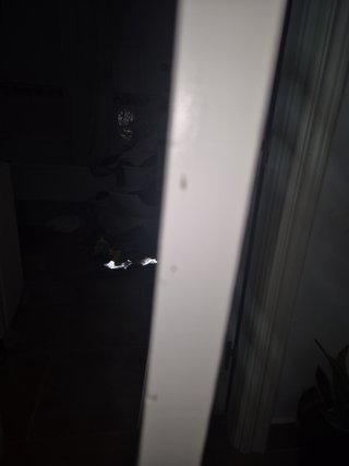 Cuna de bebé blanca con osito