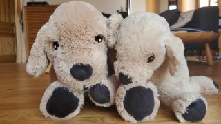 Lote 2 Peluches Golden Retriever IKEA