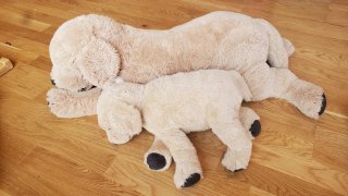 Lote 2 Peluches Golden Retriever IKEA
