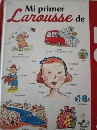 Mi primer Larousse de inglés