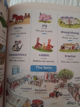 Mi primer Larousse de inglés