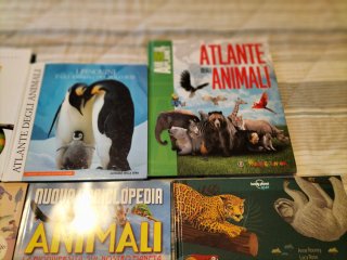 7 libri tantissimi animali del mondo