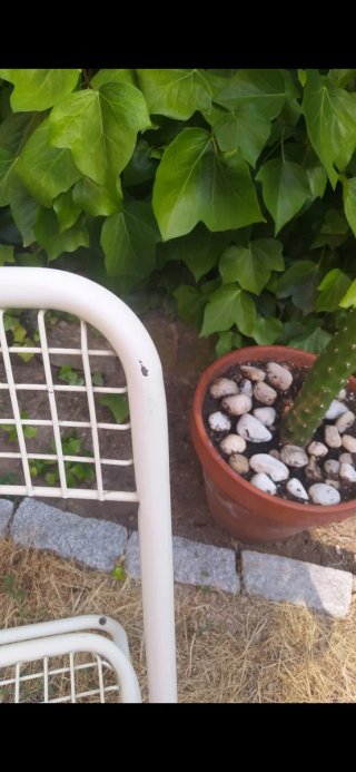 Silla metal plegable vintage Federico Giner