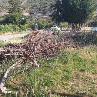 Leña para invierno (gratis)
