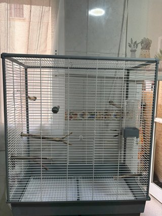 Jaula para pájaros grande gris