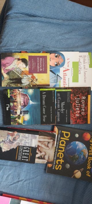 Varios libros de lectura de secundaria