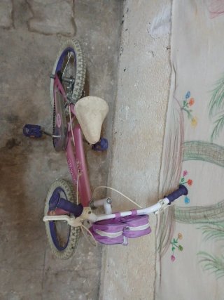 Bicicleta Princesas Rosa