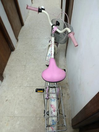 Bicicleta Barbie Paseo