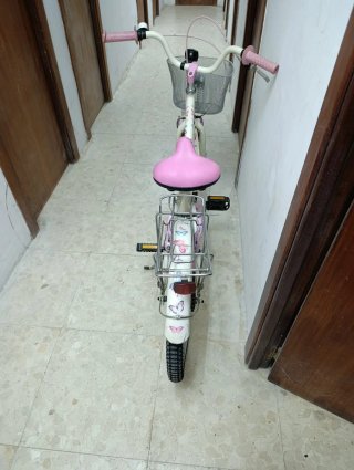 Bicicleta Barbie Paseo